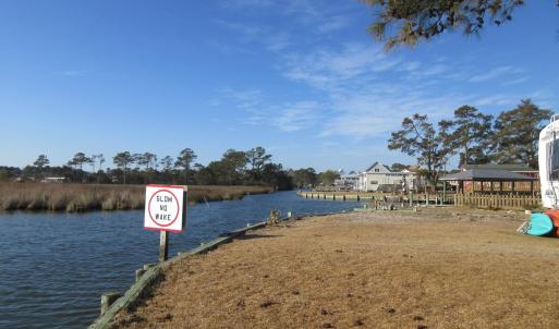 157 Dolphin Pic 4