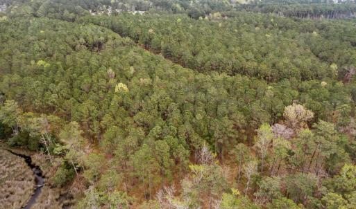 7-web-or-mls-DJI_0496