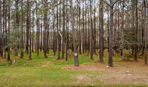 3-web-or-mls-DJI_0492