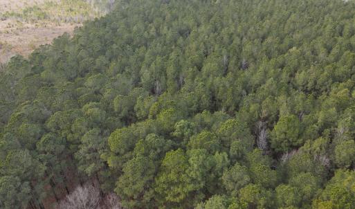 DJI_0902