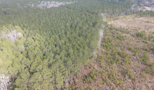 DJI_0905