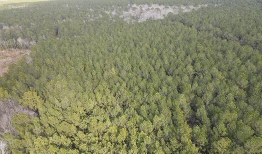 DJI_0906