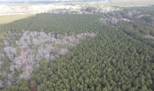 DJI_0908