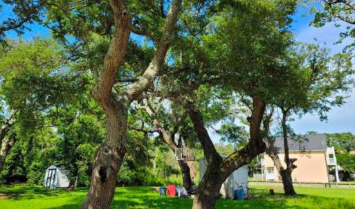 114 Lewistown Road, Beaufort, NC 28516 p