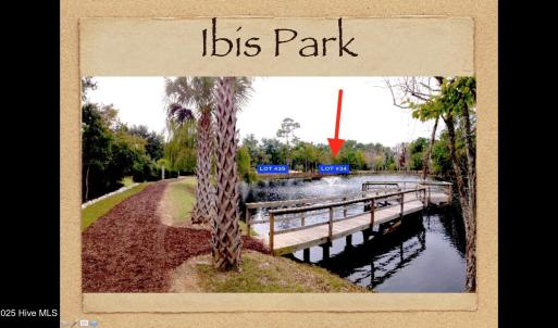 Lot #34 Location on Pond:Ibis Park