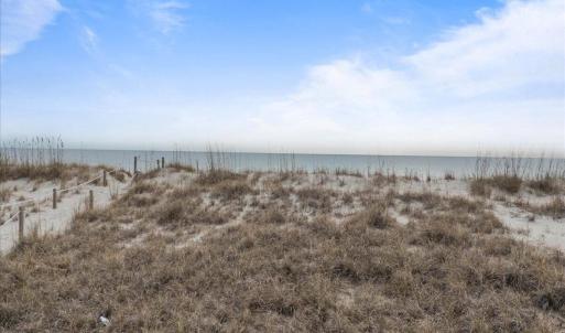 First line of vegetation