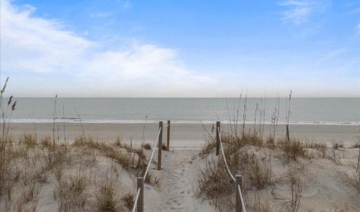 View from top of dune