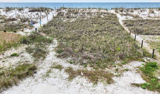 Protective Dune