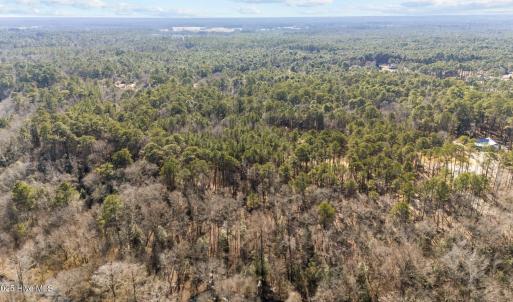 4-web-or-mls-DJI_20250130125230_0245_D