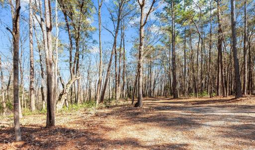 15-web-or-mls-_DSC3482