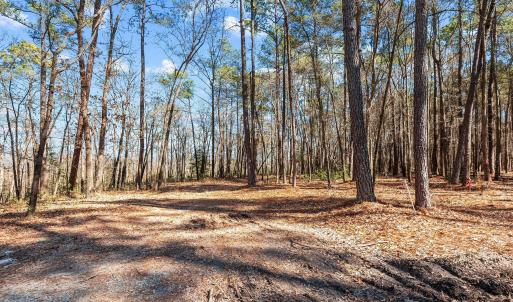 14-web-or-mls-_DSC3477