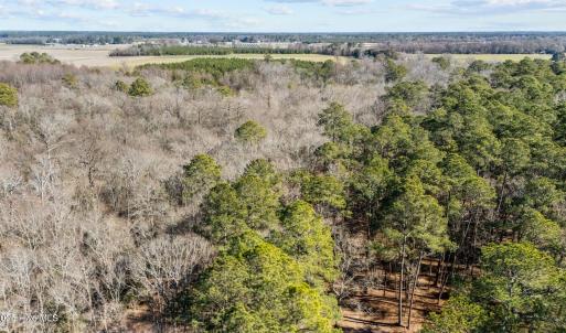 9-web-or-mls-DJI_20250130130022_0251_D