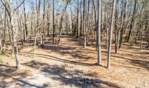 8-web-or-mls-DJI_20250130125806_0250_D