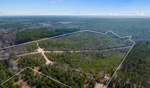 TBD Misty Morning Trail