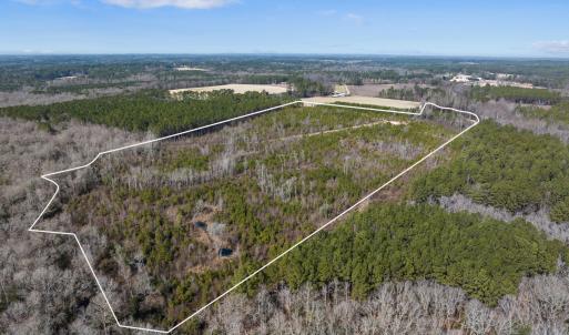 TBD Misty Morning Trail