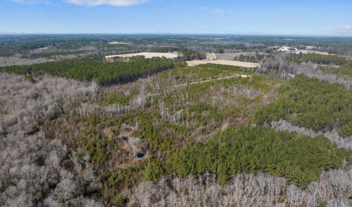 TBD Misty Morning Trail