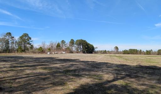 PXL_20250218_182741425