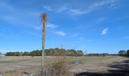 PXL_20250218_182017158