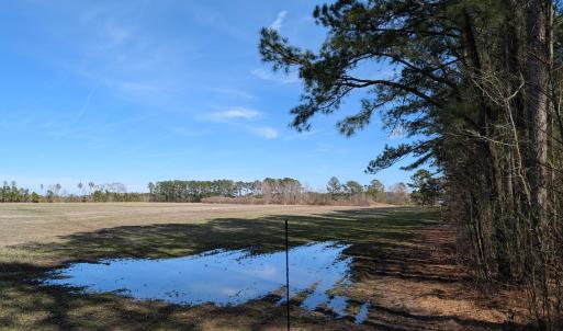 PXL_20250218_182438546