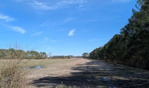 PXL_20250218_182018757