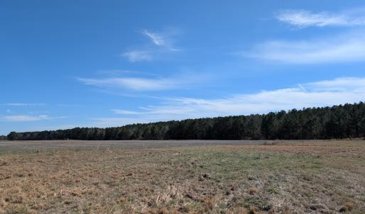 PXL_20250218_174910916