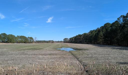 PXL_20250218_181958185.MP