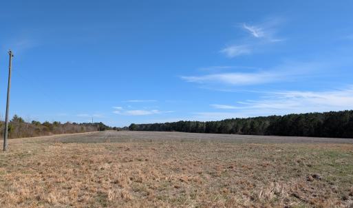 PXL_20250218_174909475