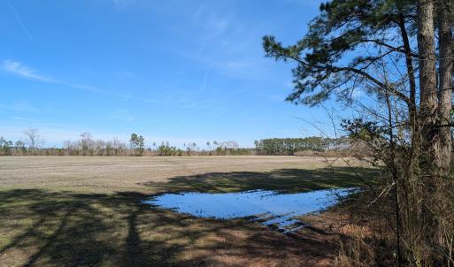 PXL_20250218_182416930