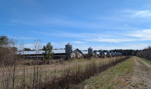 PXL_20250218_181719361