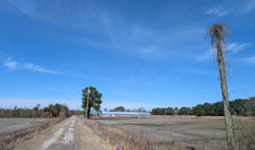 PXL_20250218_182015303