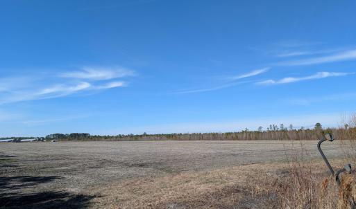 PXL_20250218_174549556