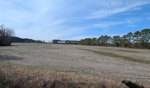 PXL_20250218_183304581