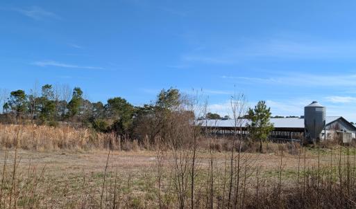 PXL_20250218_181721668