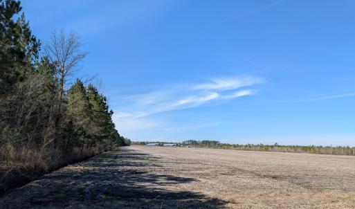 PXL_20250218_174546946