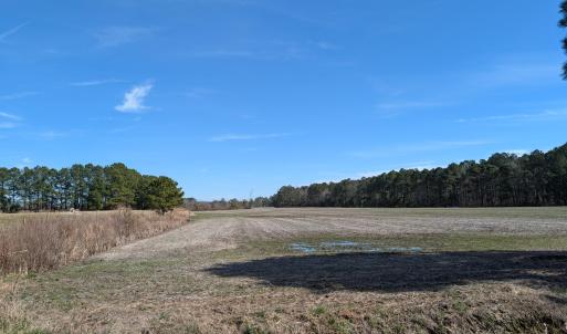 PXL_20250218_181932925