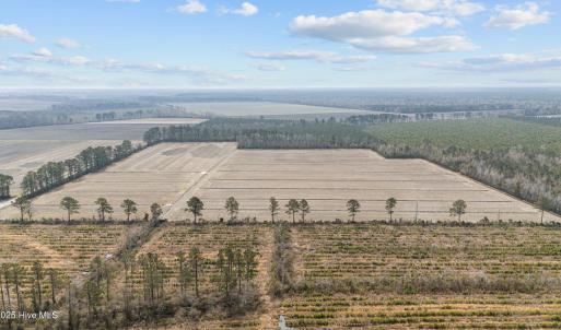 14-web-or-mls-DJI_20250313115523_0049_D