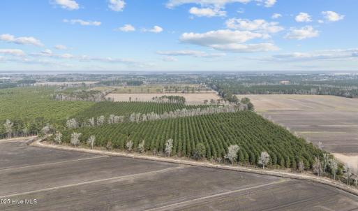 7-web-or-mls-DJI_20250313115152_0038_D