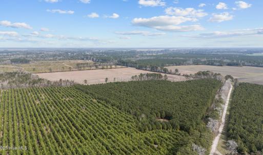 10-web-or-mls-DJI_20250313115301_0042_D