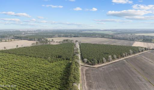 9-web-or-mls-DJI_20250313115248_0041_D