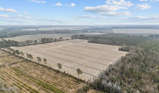 13-web-or-mls-DJI_20250313115452_0048_D