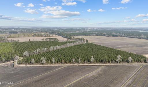 8-web-or-mls-DJI_20250313115209_0039_D