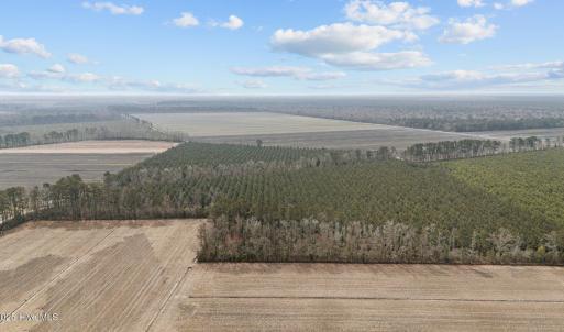 16-web-or-mls-DJI_20250313115638_0053_D