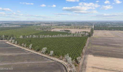 6-web-or-mls-DJI_20250313115132_0037_D