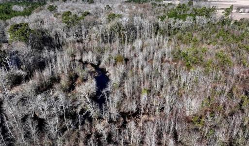 DJI_20240104122740_0086_D