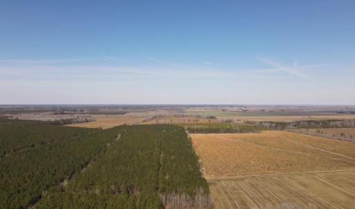 temp_image_for_default_share(5)