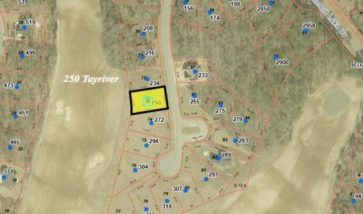 250 tayriver