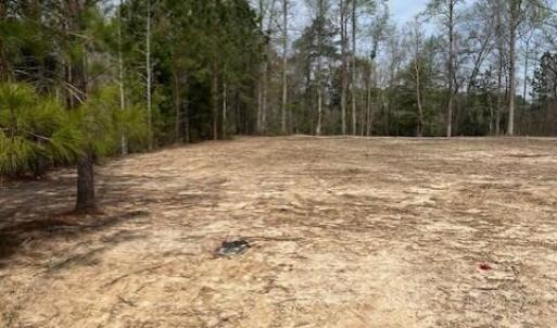 Cleared for Homesite