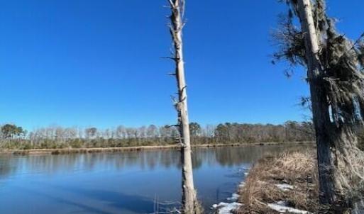 Harvey Creek