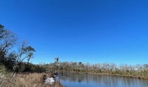 Harvey Creek