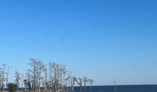 East View toward Outer Banks